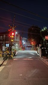 �V�C���̌���X��� 