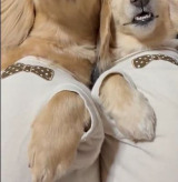 �u��΂����Q��v2�C�̃�������񂪁g������āh�n���u�����l�ɂ��������܂���v�u�K���Ȃ����v 