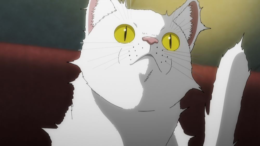 ニャイト・オブ・ザ・リビングキャット』7月放送でPV公開