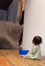 ����������̌������ցc�i�摜��@playful_style�j 