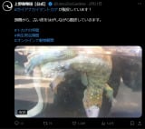 ��쓮�����̌���X��� 