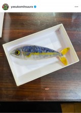 ���Y���q�u�A�i�U�[�X�J�C�ő�v�ۂ���̂��߂ɍ�����I�u���[�`�ł��v (�ʐ^�̓C���X�^�O���� @yasukomitsuura ���) 