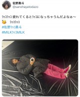 ubRbR ĂƃbRɂȂႤ񂾂Ȃ` bRbR #색bRElv(ʐ^X @sanohayatodazo ) 