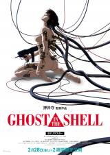 �wGHOST IN THE SHELL/�U�k�@���� 4K���}�X�^�[�Łx�iC�j1995�m�Y���@/�u�k�ЁE�o���_�C�r�W���A���EMANGA ENTERTAINMENT 