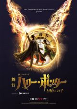 ����w�n���[�E�|�b�^�[�Ǝ􂢂̎q�x 