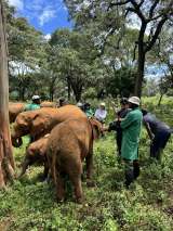 2024�N�ɕ������ꂽ�w�e���r�����J��60���N���ʊ�� JAPAN�v���W�F�N�g�x�̑�3�e�ɏo��������K���ӂ�(C)�e���r���� 