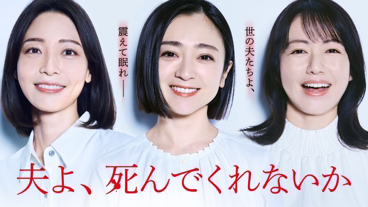 Amazon.co.jp: 夫よ、死んでくれないか : 丸山 正樹: 本