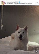 R{؃Aiu5΂jv(ʐ^̓CX^O @rinayamamoto_0622) 