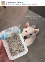 R{؃Aiu5΂jv(ʐ^̓CX^O @rinayamamoto_0622) 