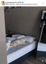 R{؃Aiu5΂jv(ʐ^̓CX^O @rinayamamoto_0622) 