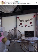 R{؃Aiu5΂jv(ʐ^̓CX^O @rinayamamoto_0622) 