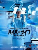 �w�n�C�p�[�i�C�t �ł̓V�ˊO�Ȉ�x�\���E�M�����OVer �iC�j2025 Disney and its related entities 