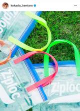 �u�R�J�h�A�~�V���{���o�ł���^�тƂȂ�܂����I�v�i�ʐ^�̓C���X�^�O������kokado_kentaro���j 