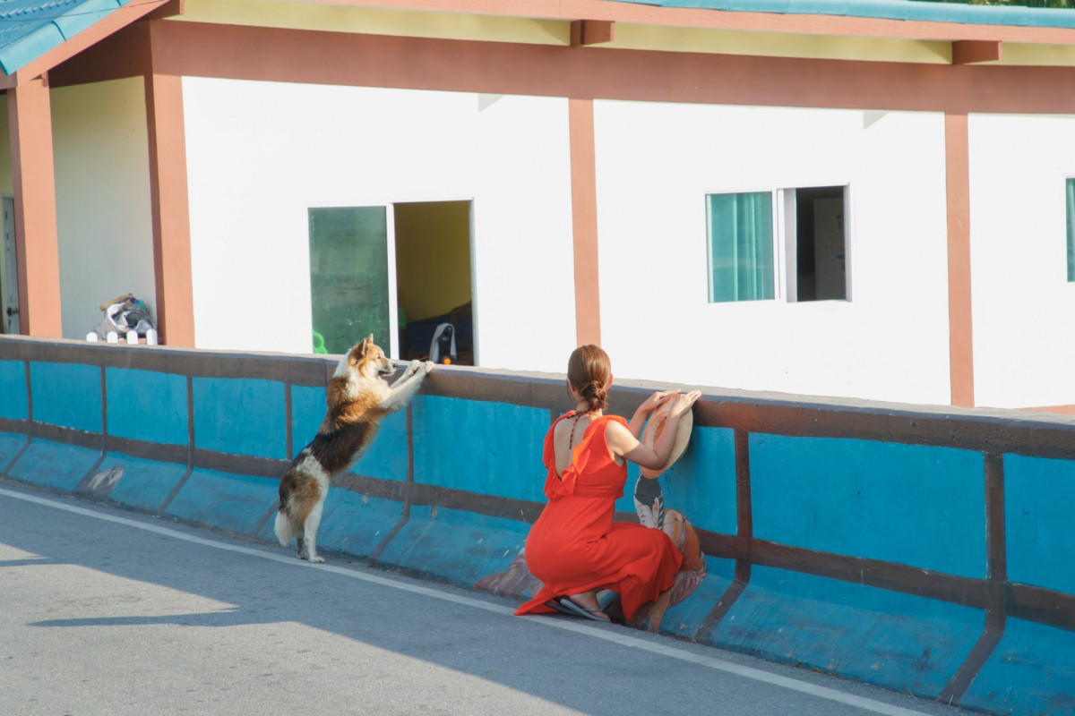 井口裕香、グラマラスな美ボディ全開 水着カットに衝撃「目のやり場に