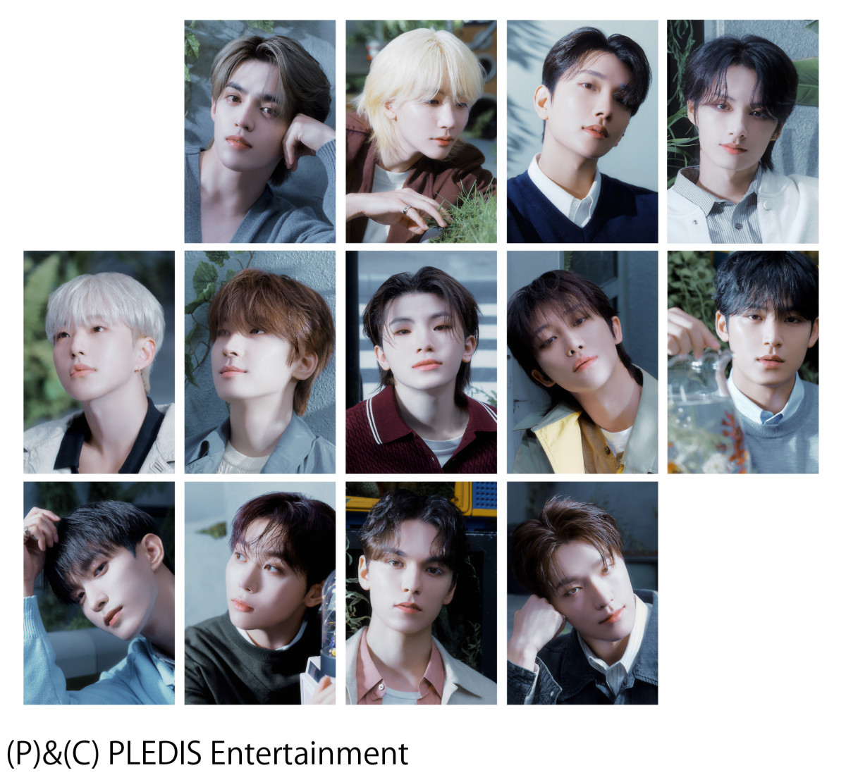 xXgEGCWAEA[eBXg܂SEVENTEEN=w39{S[hfBXN܁x 