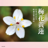 {RrAryw2024Nx(60){RrASrRN[ۑ ~ԉ@x=MyEAoEIuEUEC[ 