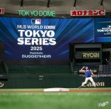 h[ł̗K̖͗l(ʐ^̓hW[X̌CX^O:@dodgers) 