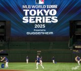 h[ł̗K̖͗l(ʐ^̓hW[X̌CX^O:@dodgers) 
