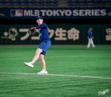 h[ł̗K̖͗l(ʐ^̓hW[X̌CX^O:@dodgers) 