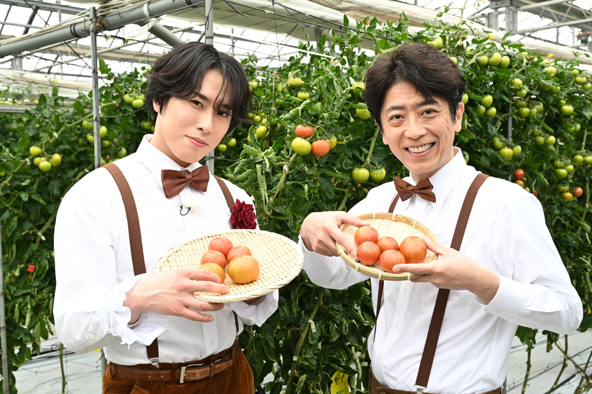 Snow Man宮舘涼太、トマトをエレガントに収穫 フット後藤と茨城グルメ