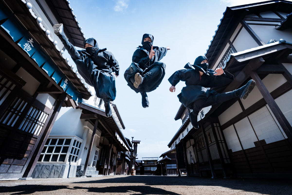 f`f摺 V̔E҃G^[eCgwNINJA EXTREME PARTYx 