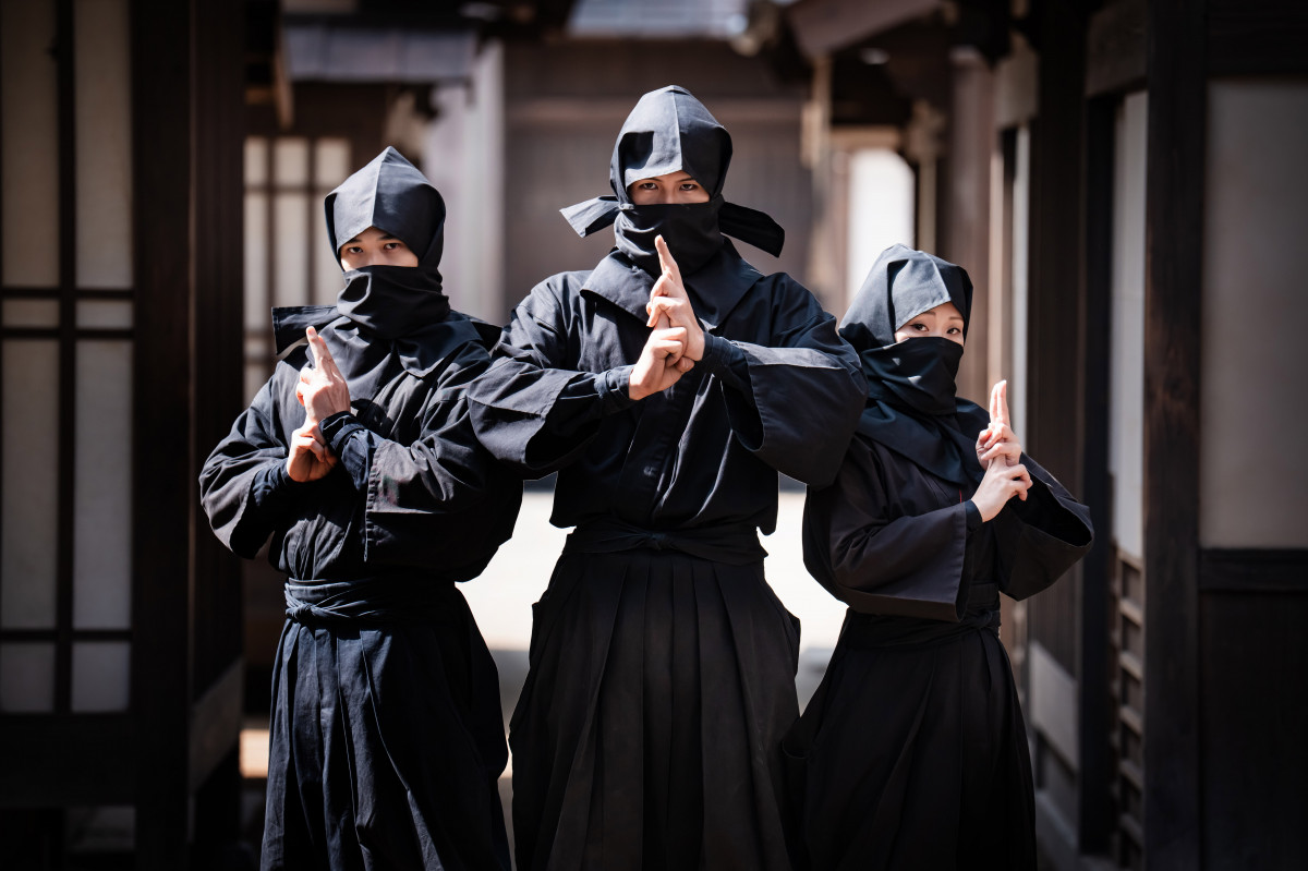 f`f摺 V̔E҃G^[eCgwNINJA EXTREME PARTYx 
