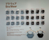 �w�u���E�F�A�x�i�ō� 2,290�~�j �iC�joricon ME inc. 