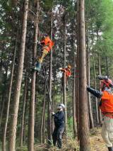 �w�V���[�C�`�x���M�����[���P���u�X�^�f�B�[Japan�v����������iC�j���{�e���r 