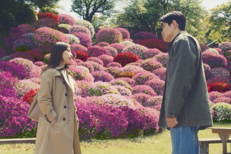 �f��w�Ԃ܂�܁x�i4��25�����J�j�iC�j2025�u�Ԃ܂�܁v����ψ��� 