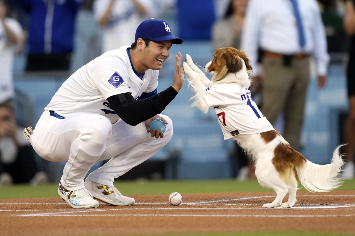 眠たげな表情”のデコピン 大谷翔平ボブルヘッドとの2ショット 眠たげな表情”のデコピン 大谷翔平ボブルヘッドとの2ショット