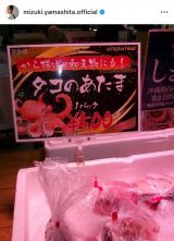 R(ʐ^̓CX^O @mizuki.yamashita.official ) 