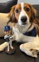 �f�R�s���Ɂu�ŗD�G�g���h�v�̓����N�b�L�[ SNS�́u�٘_�Ȃ�!�v�u�f�R�s���N��MVP���̊���v 