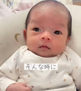 �y�K�^�̏؁@���܂���̃A�U�z���B�i�摜�񋟁�nonmamagram_27�j 