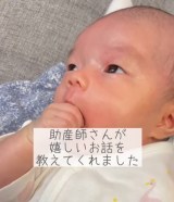 �y�K�^�̏؁@���܂���̃A�U�z���B�i�摜�񋟁�nonmamagram_27�j 