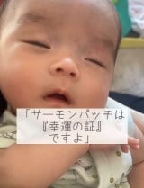 �y�K�^�̏؁@���܂���̃A�U�z���B�i�摜�񋟁�nonmamagram_27�j 