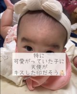 �y�K�^�̏؁@���܂���̃A�U�z���B�i�摜�񋟁�nonmamagram_27�j 