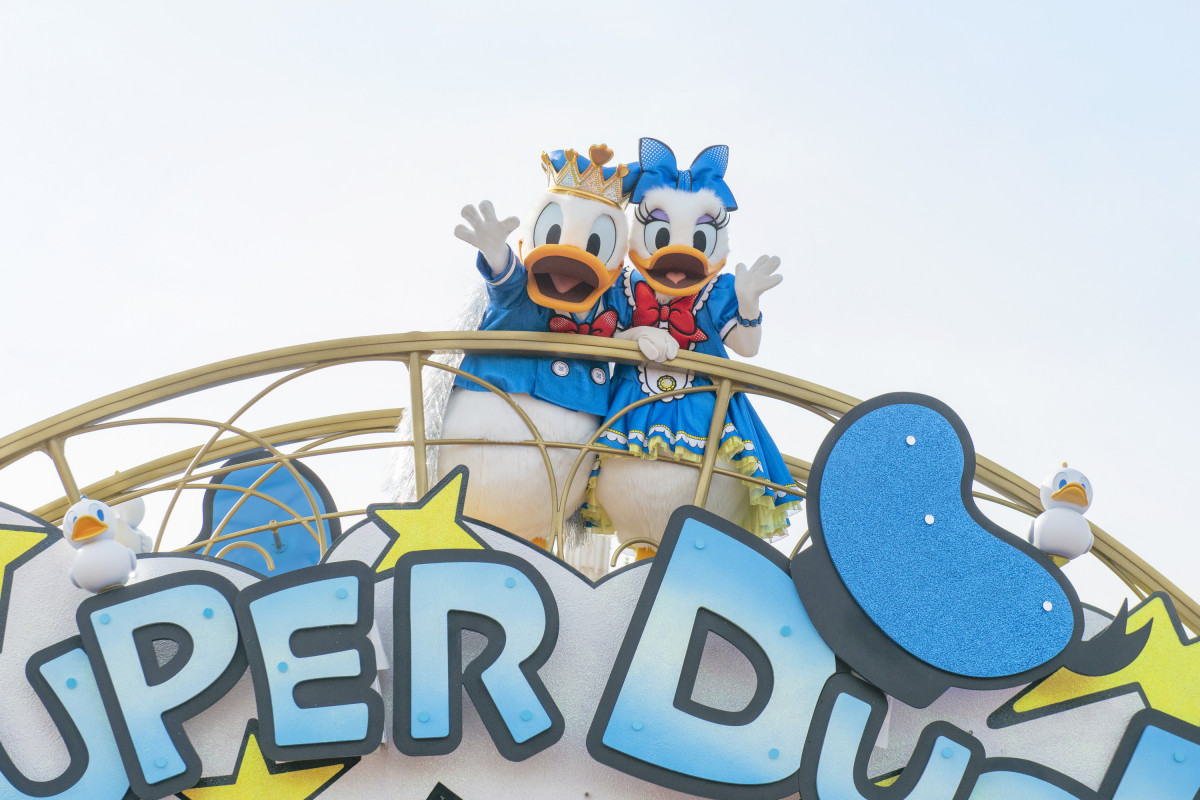 ディズニー　Today ドナルド カラフル・ゴールド／ドナルドダック / ジグソーパズルやのまん