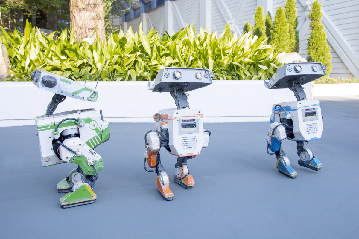 画像・写真 | TDLに“新キャラ”2足歩行ロボット『BDXドロイド