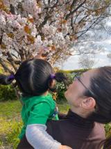 �}���V�A�u���s�̍��Ƒ����Ȃ킽�����v�@�i�ʐ^�̓u���O���j 