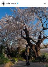 �u�q���B�͑��сv���{���v�����������ɏo���������Ƃ�� (�ʐ^�̓C���X�^�O���� @ exile_matsu���) 