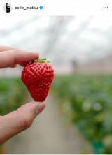 �u�q���B�͑��сv���{���v�����������ɏo���������Ƃ�� (�ʐ^�̓C���X�^�O���� @ exile_matsu���) 