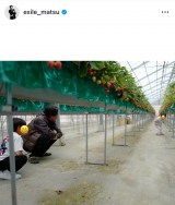 �u�q���B�͑��сv���{���v�����������ɏo���������Ƃ�� (�ʐ^�̓C���X�^�O���� @ exile_matsu���) 