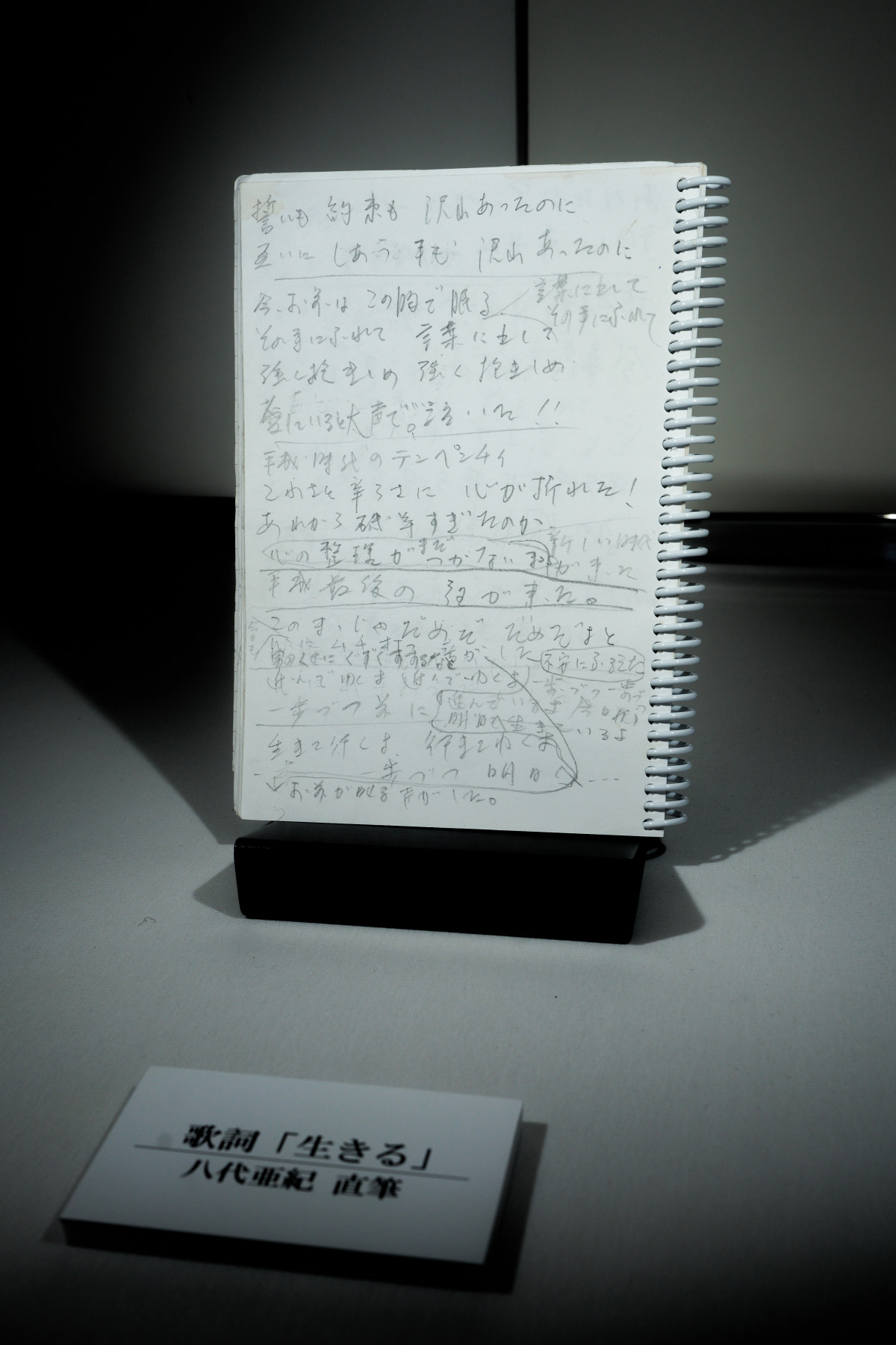 八代亜紀さん絵画　『ひなたぼっこ』 2025年最新】八代亜紀絵画の人気アイテム - メルカリ