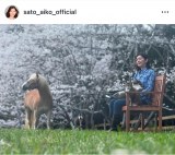 �������q�u���Ԍ�2025�N�o�[�W�����ł�������؂��Ƒ��Ŋ��\�v�@�i�ʐ^�̓C���X�^�O���� @sato_aiko_official ���j 