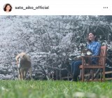 �������q�u���Ԍ�2025�N�o�[�W�����ł�������؂��Ƒ��Ŋ��\�v�@�i�ʐ^�̓C���X�^�O���� @sato_aiko_official ���j 