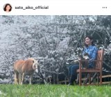 �������q�u���Ԍ�2025�N�o�[�W�����ł�������؂��Ƒ��Ŋ��\�v�@�i�ʐ^�̓C���X�^�O���� @sato_aiko_official ���j 