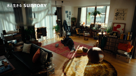 BE:FIRST�ELEO��JUNON�o���u�T������CM���܂�����v�с@ 