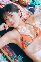 ��̉�(C)������/�T��FLASH �ʐ^:���{���u 