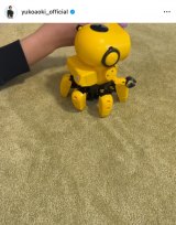 �ؗT�q�u�t�x�݂̂��ƁB���q2�l�Ƒ�p�ɍs���Ă��܂����B(�v������ԁA���d���撣��)�v(�ʐ^�̓C���X�^�O���� @yukoaoki_official ���) 