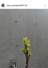 �R�������u�C�`�W�N���t�ɂȂ�萁���܂����v�@�i�ʐ^�̓C���X�^�O���� ��moe_yamaguchi0611 ���j 